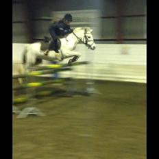 DSP Ryttergaardens Lille My<3