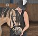 Welsh Pony af Cob-type (sec C) Gribsvads Little Hector