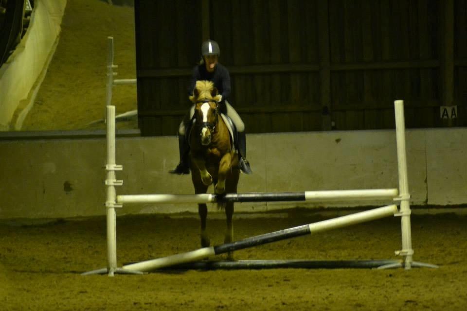 New Forest Horsemosens May Bazar billede 20