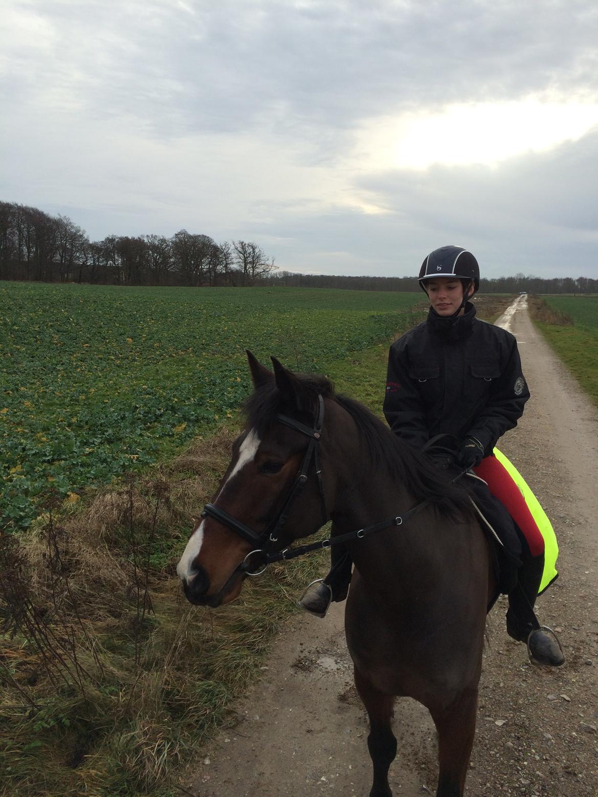 Traver Nok`en svimmel billede 12