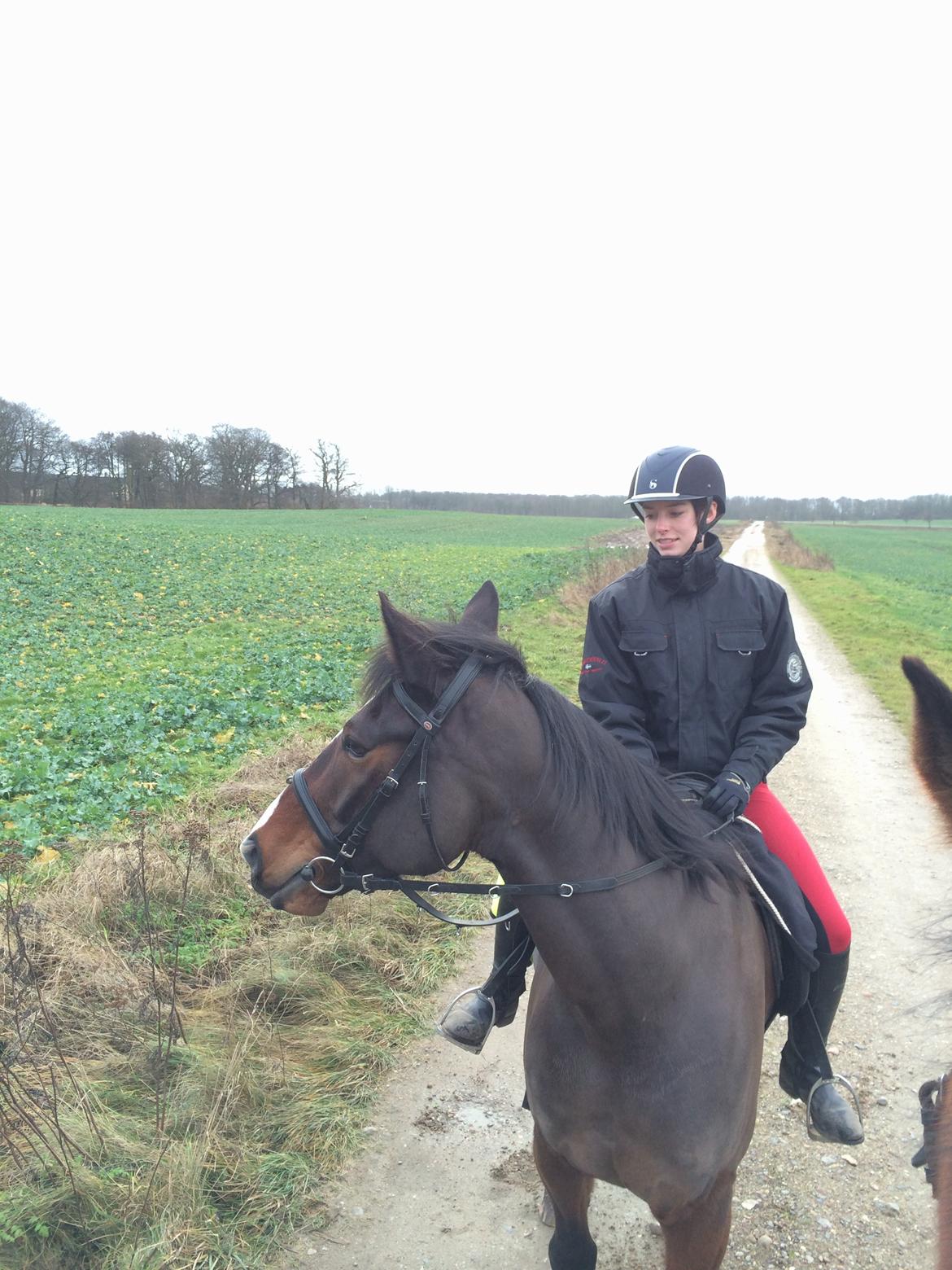 Traver Nok`en svimmel billede 13