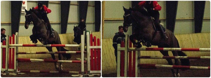 Dansk Varmblod - Laurberggaard's Ludwig - Sponsorspring D. 14/O1-2O14 - Vi kom op på 13O cm :-D billede 41