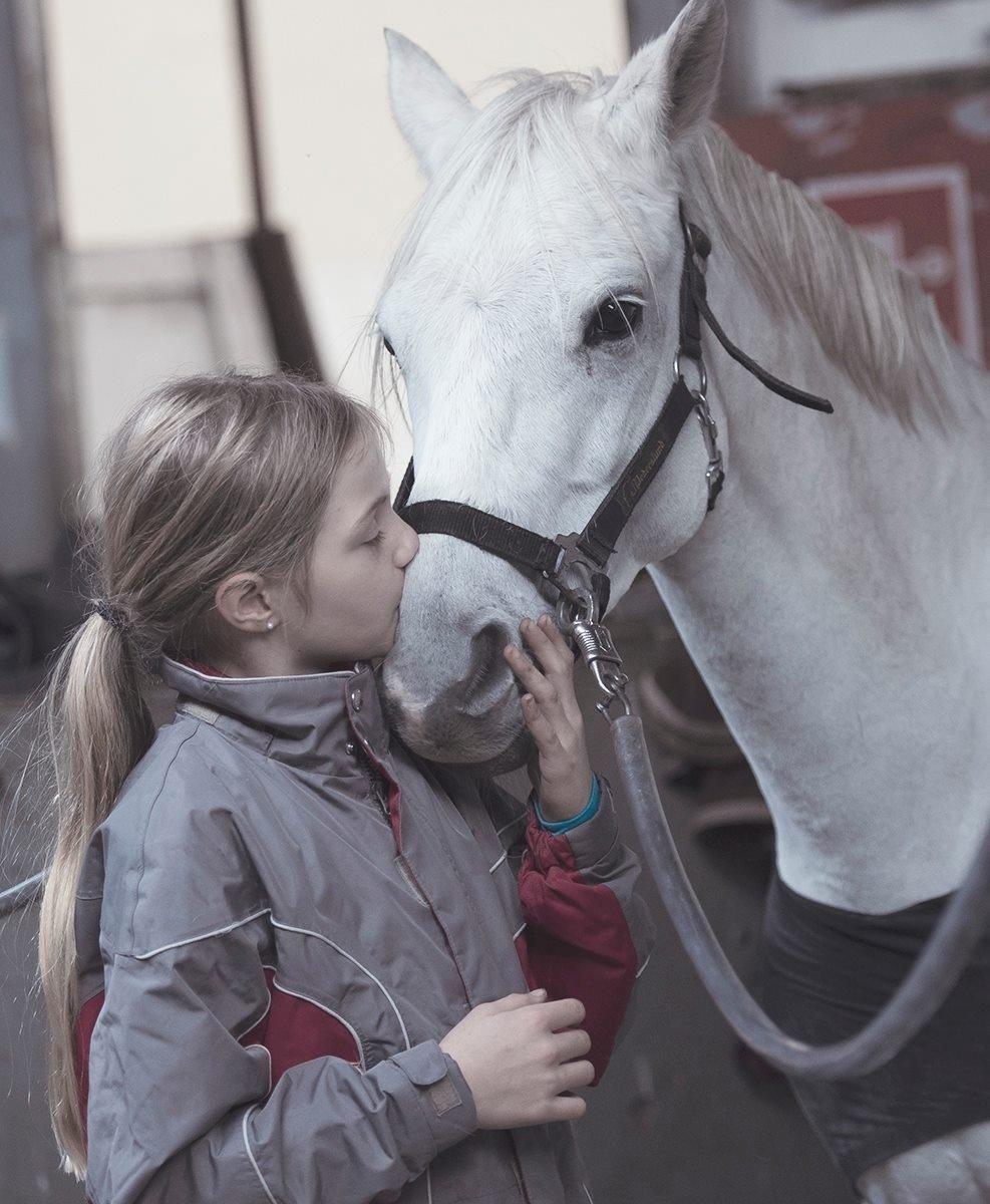 Welsh Pony (sec B) Bakkegaardens Oliver billede 21