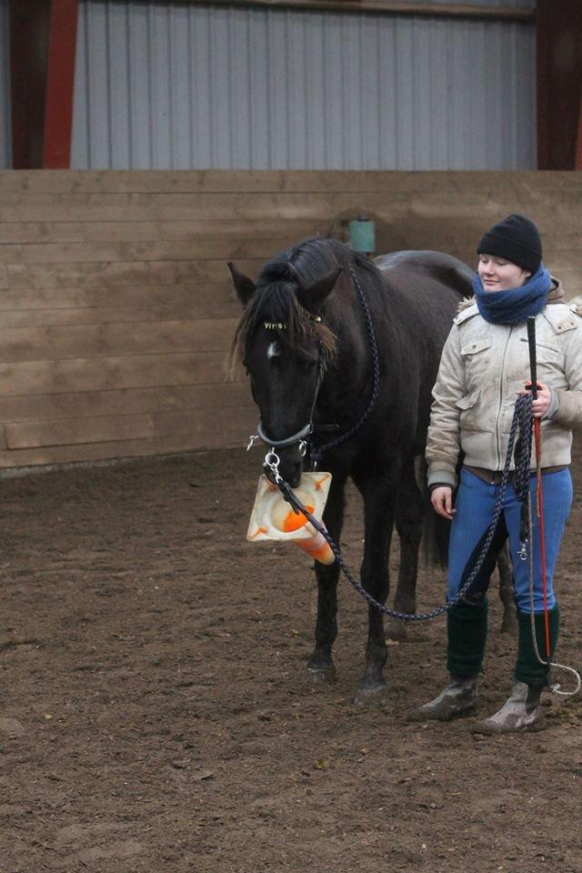 Anden særlig race Golden Extreme Ferrari (Vimse) billede 24