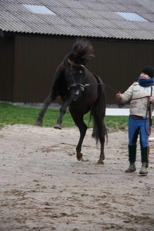 Anden særlig race Golden Extreme Ferrari (Vimse) billede 34