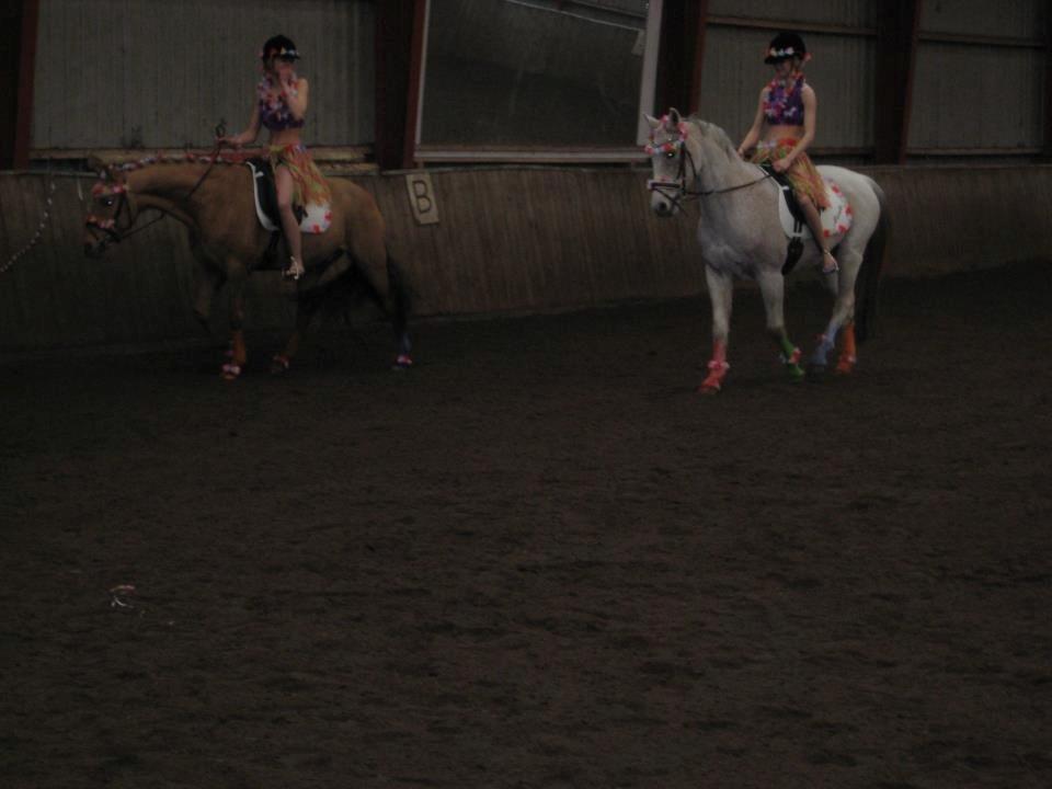 DSP Nasrahn. <3 - Fastelavn på rideskolen i -7 grader det var godt nok koldt!!... Nasrahn og Golden star <3  billede 7