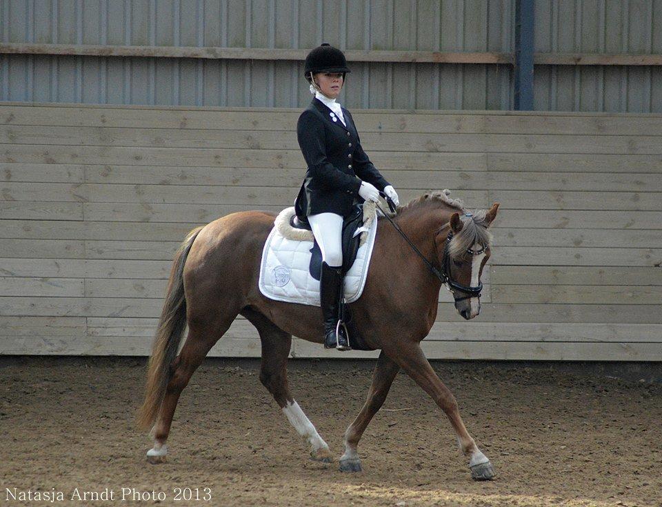 New Forest Firfod Flittiglize billede 8