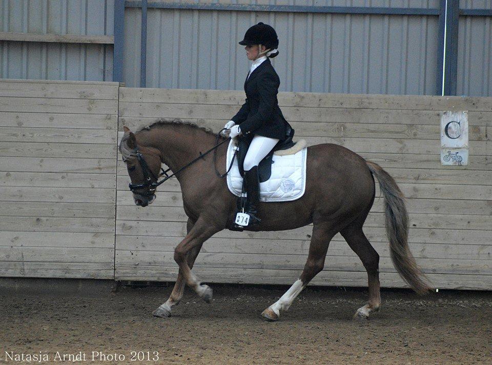 New Forest Firfod Flittiglize billede 9