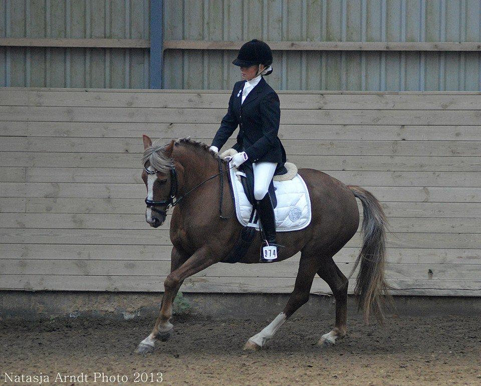 New Forest Firfod Flittiglize billede 10