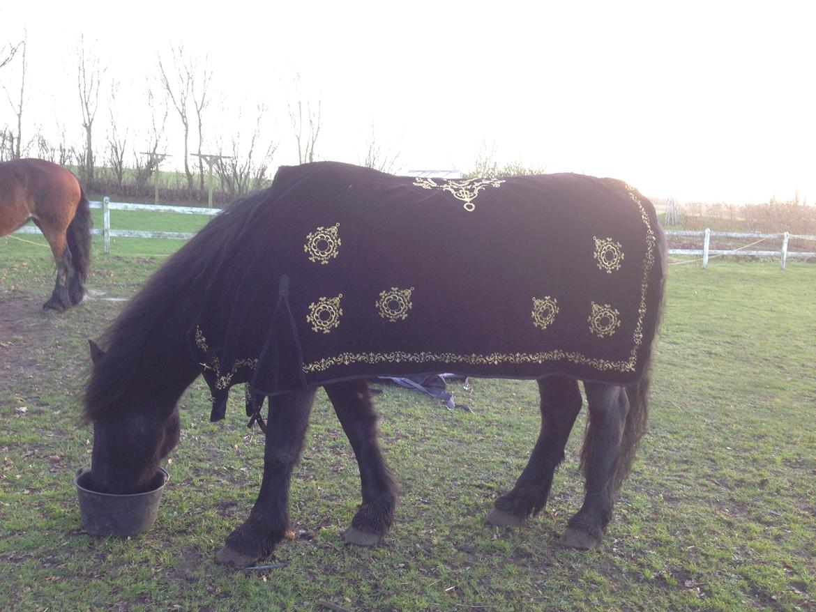 Frieser Hero billede 4