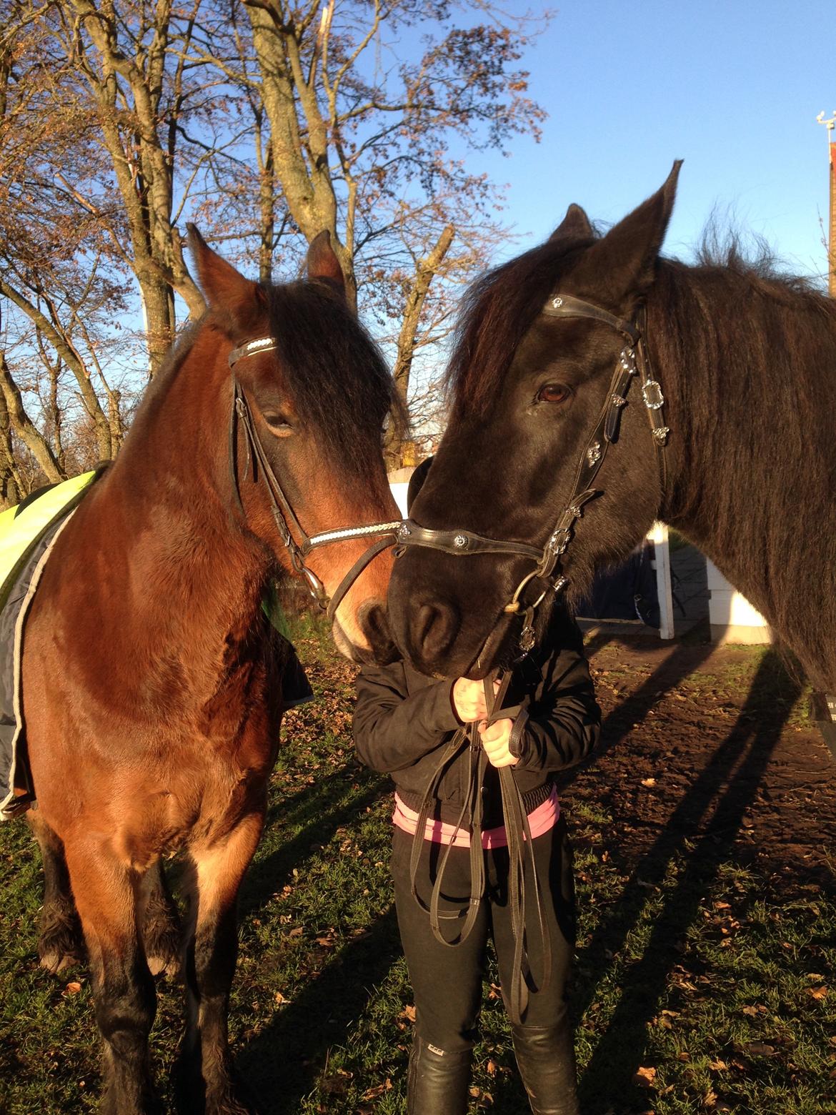 Frieser Hero - Velkommen til Heros profil :) billede 1