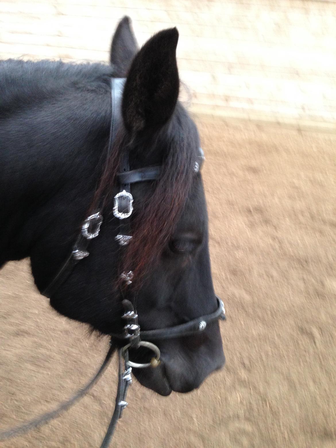 Frieser Hero billede 11