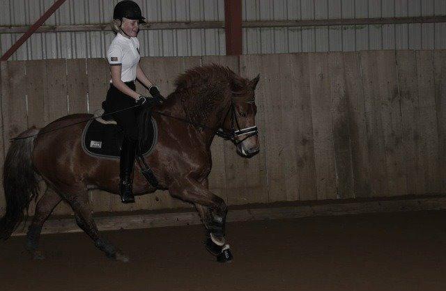 New Forest Spirit (Tidl. part) - Det flyver jo bare afsted!! billede 13