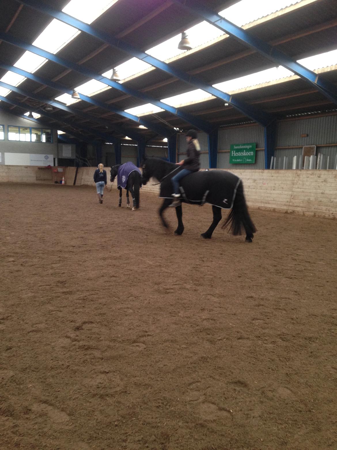 Frieser Hero billede 15