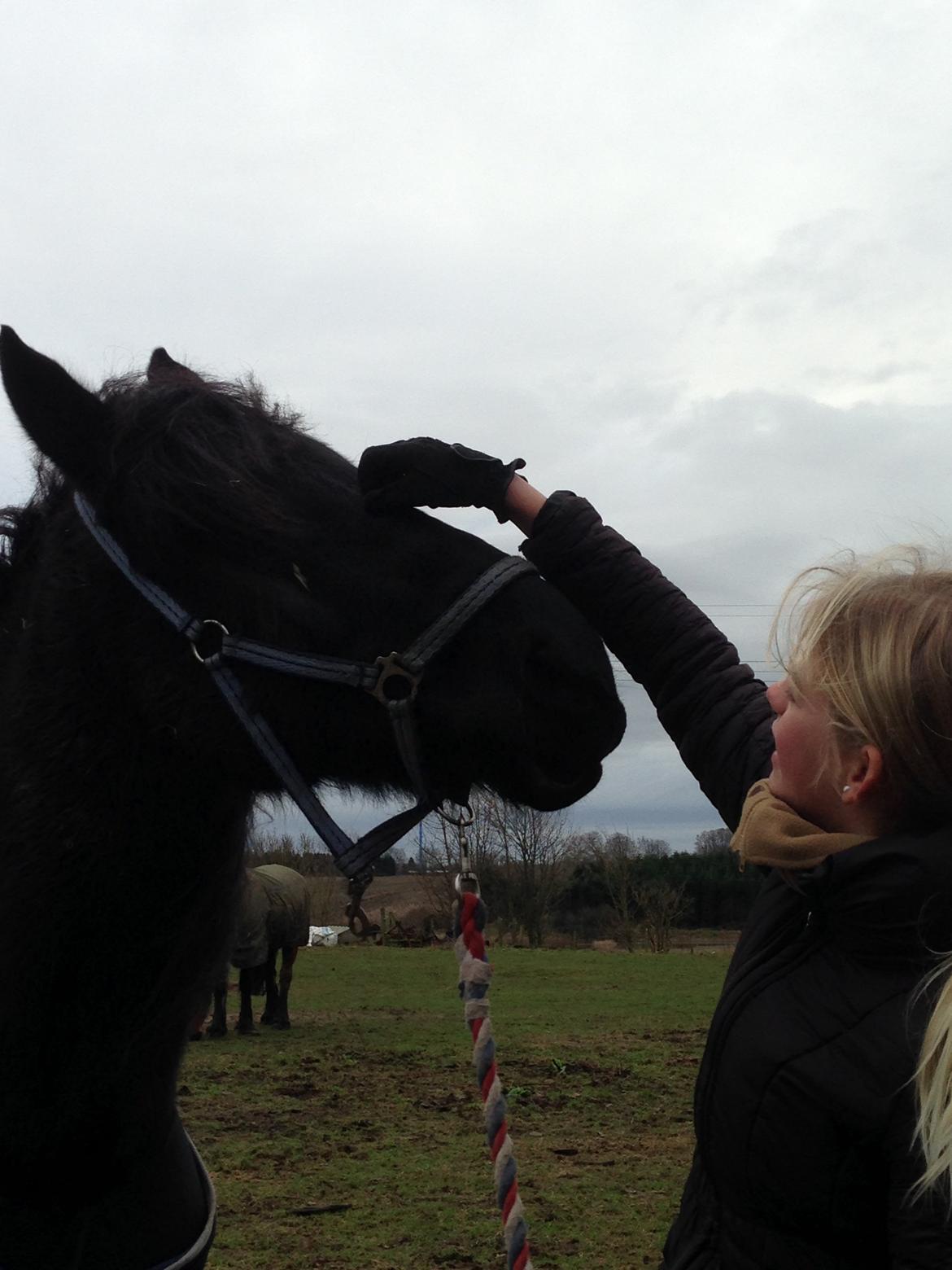 Frieser Hero billede 3