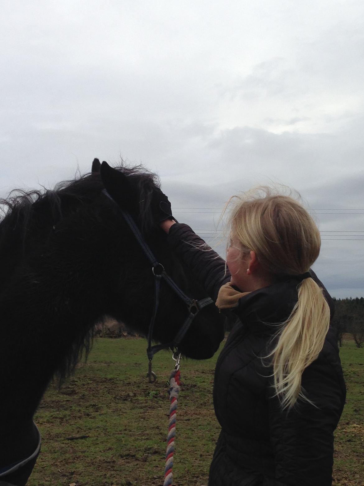 Frieser Hero billede 16