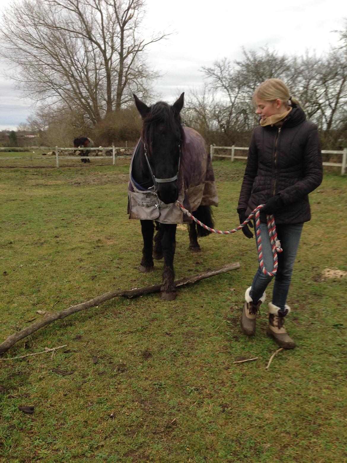 Frieser Hero billede 6