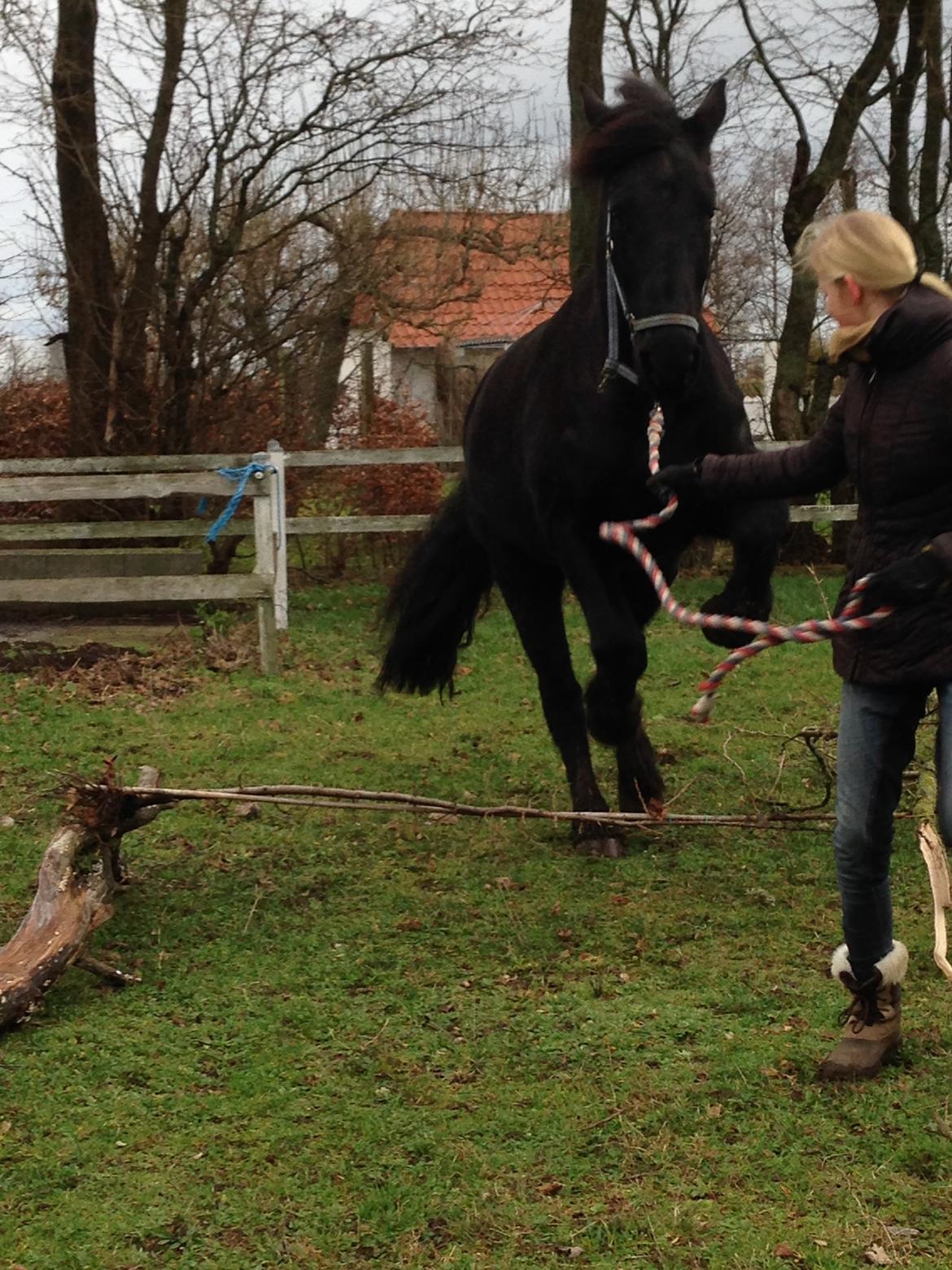 Frieser Hero billede 13