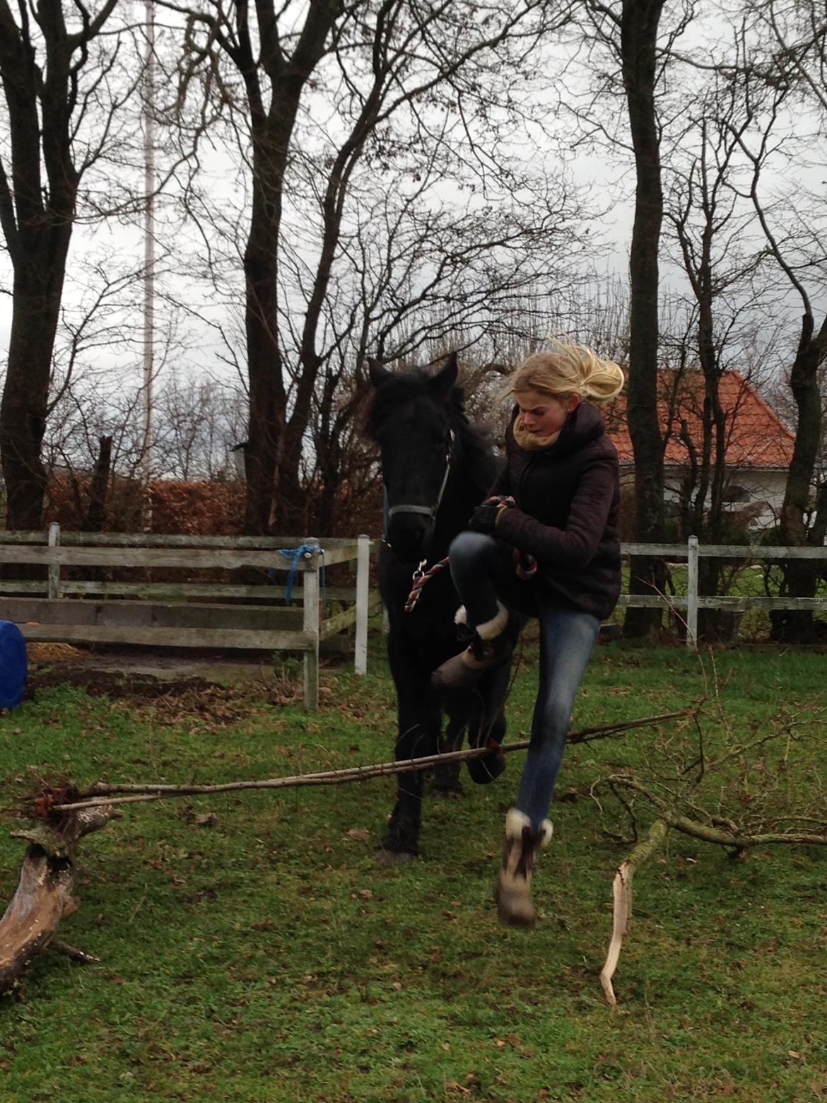 Frieser Hero billede 2