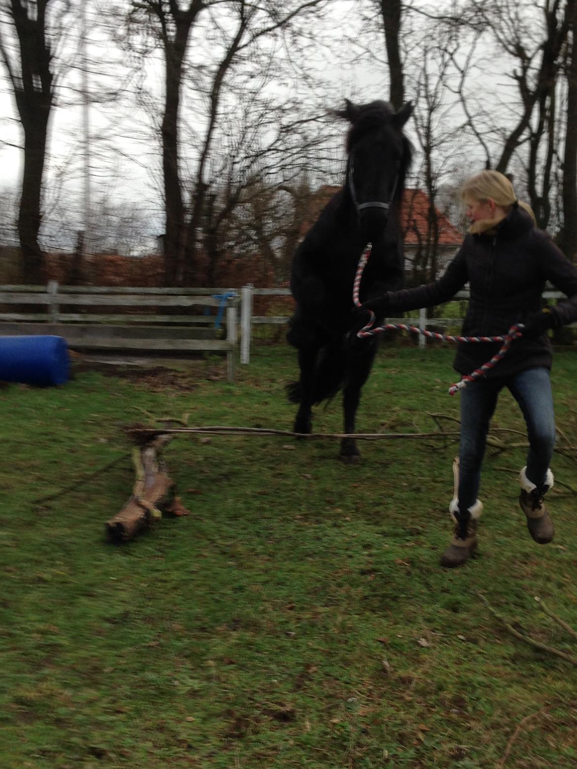 Frieser Hero billede 18