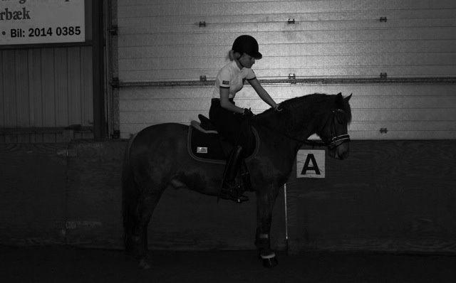 New Forest Spirit (Tidl. part) - Tak fordi i så med:) billede 22