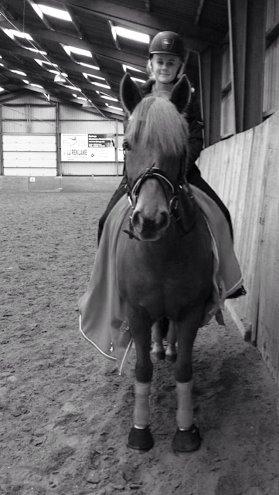 New Forest Spirit (Tidl. part) - <3 billede 18