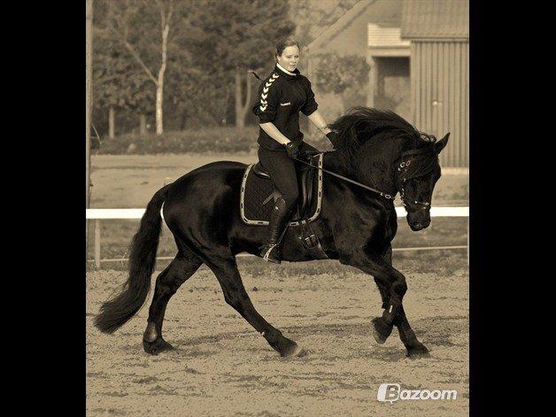 Frieser Hero - Heros ejer :) billede 5