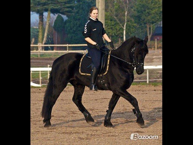 Frieser Hero billede 12