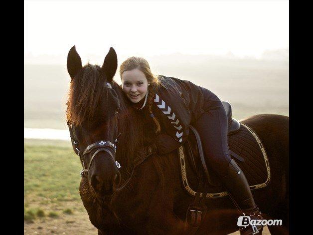 Frieser Hero billede 7