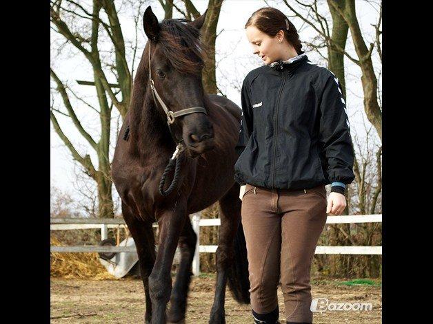 Frieser Hero billede 20