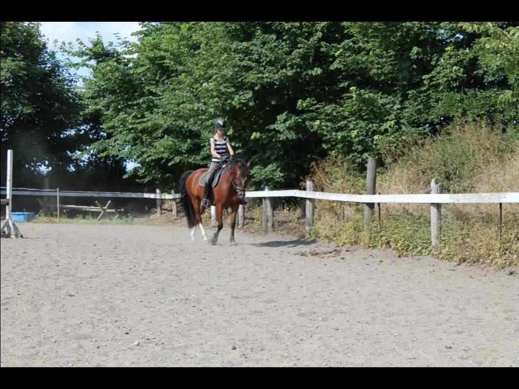 DSP Haahr's Kalahari billede 15