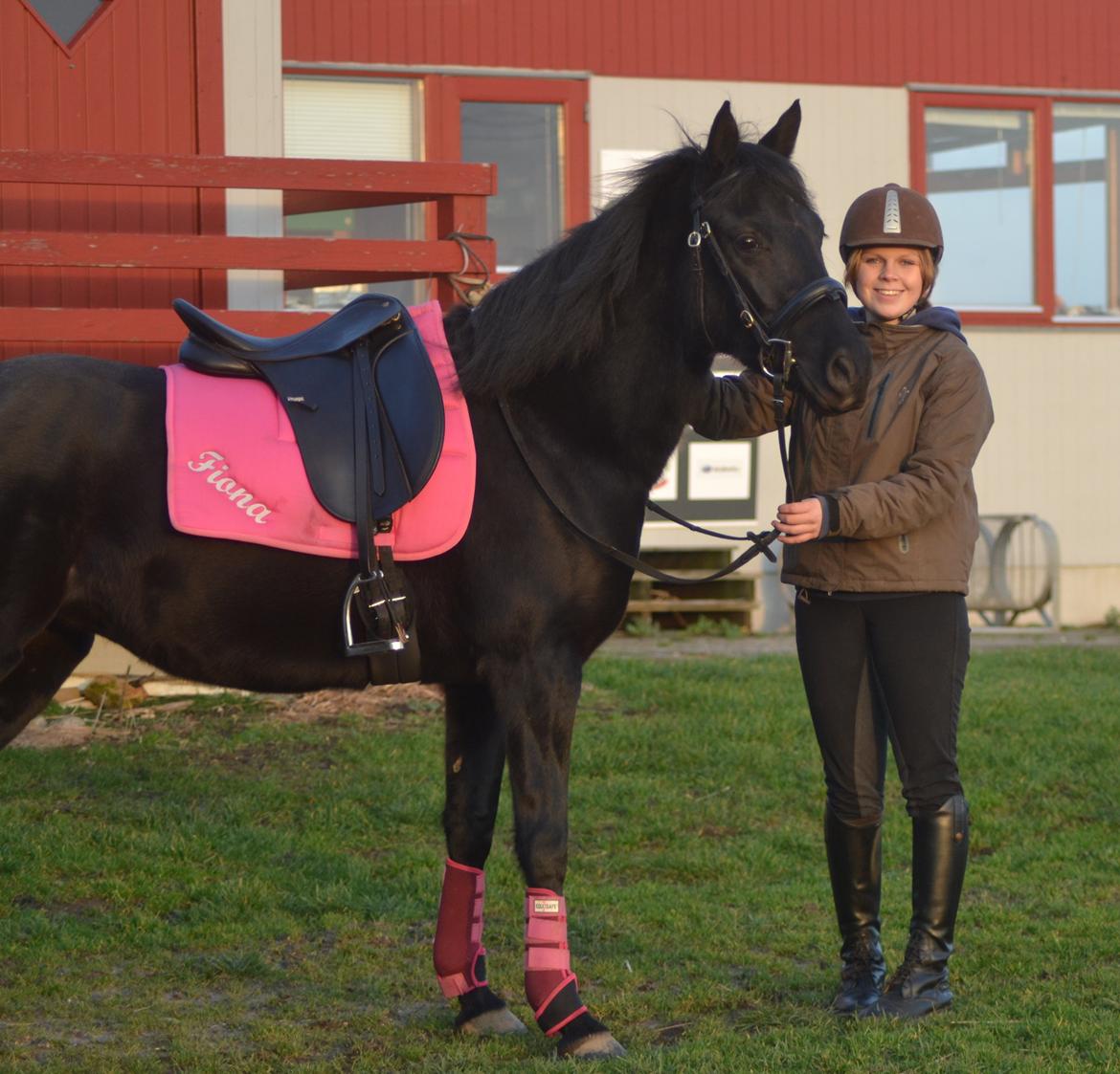 DSP Fiona - Min smukke dejlige pony billede 5