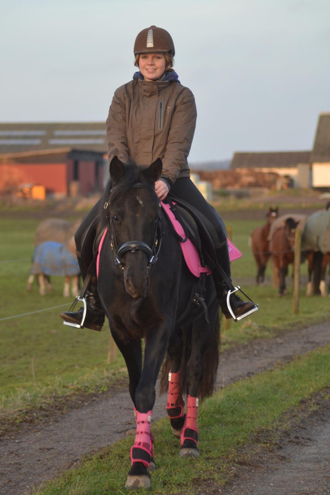 DSP Fiona - Skovtur på Stengården, Haslev billede 1