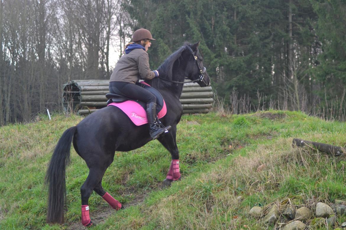 DSP Fiona billede 35