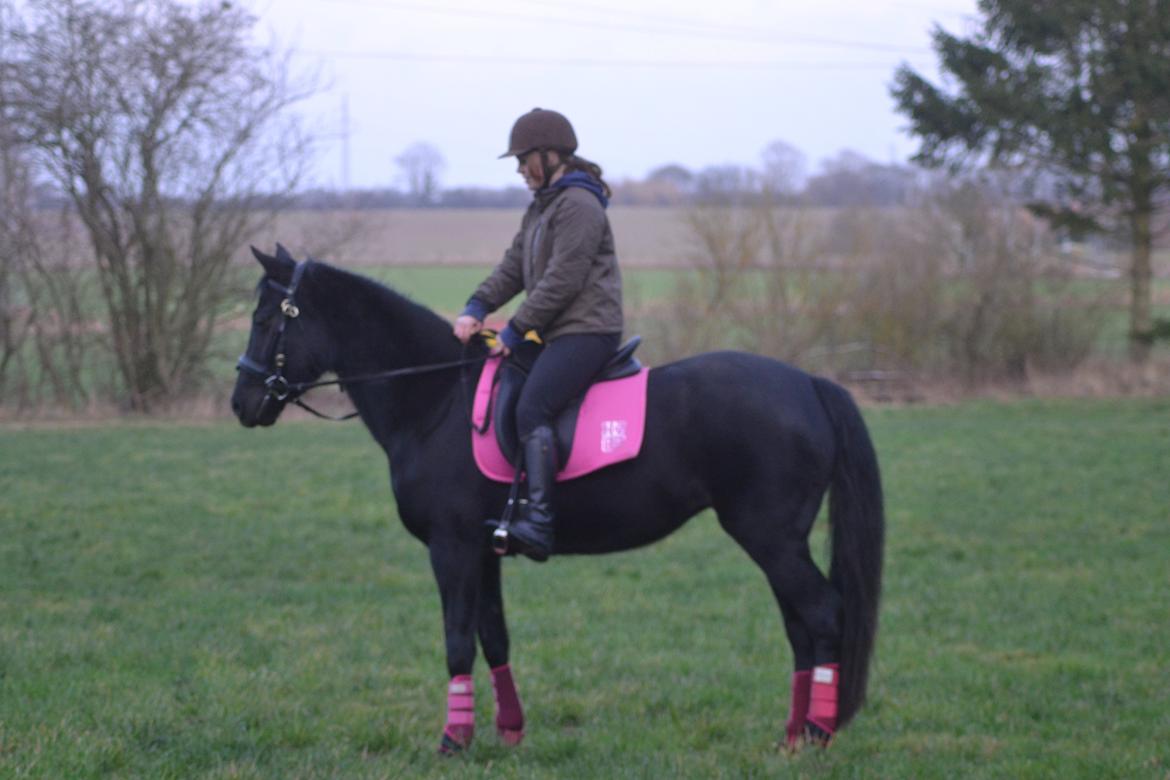 DSP Fiona billede 36