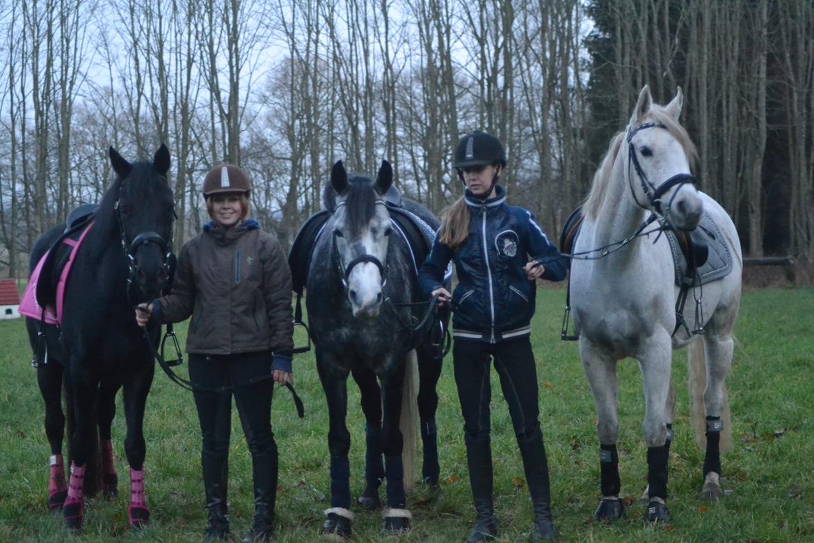 DSP Fiona billede 37