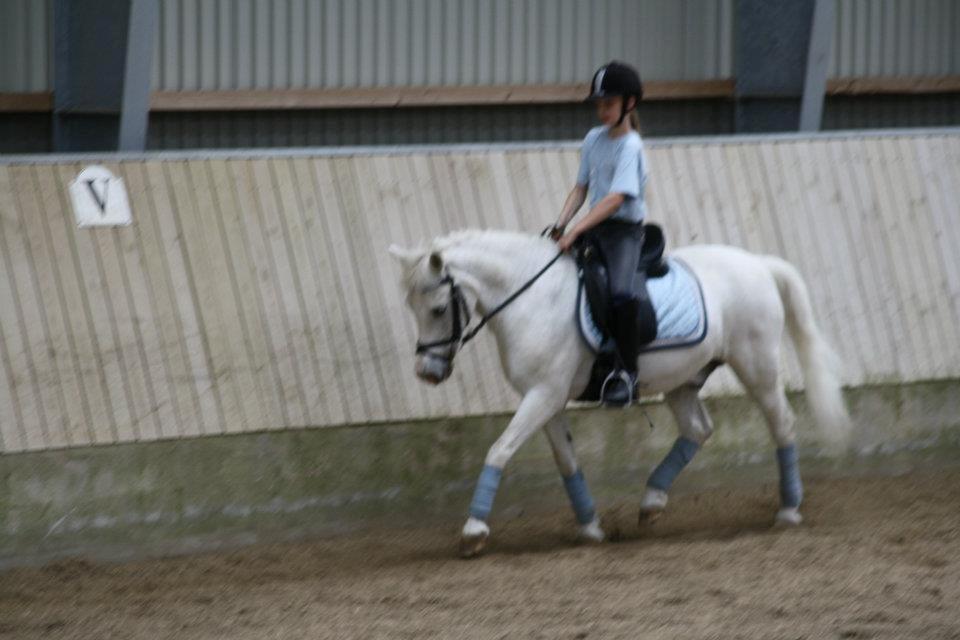 Anden særlig race Hamlet *RIP* - Jeg troede ikke på engle, men da jeg så dig kom jeg i tvivl.
Jeg troede ikke på mirakler, men da jeg så dig, så jeg at der var sket et mirakel billede 3