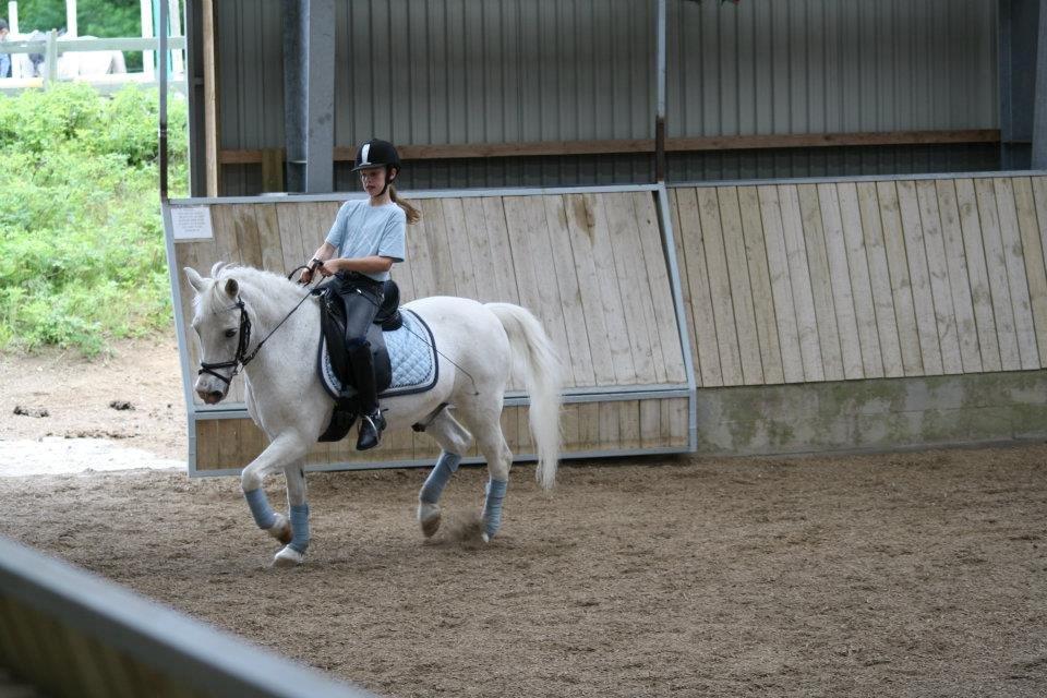 Anden særlig race Hamlet *RIP* - I know i am lost, but as long i am lost in you, i'll be alright<3 billede 4