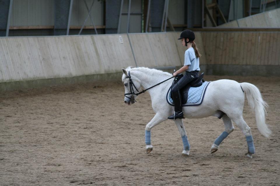 Anden særlig race Hamlet *RIP* - Never be afriad to LOVE and never be afraid to follow your DREAMS billede 5