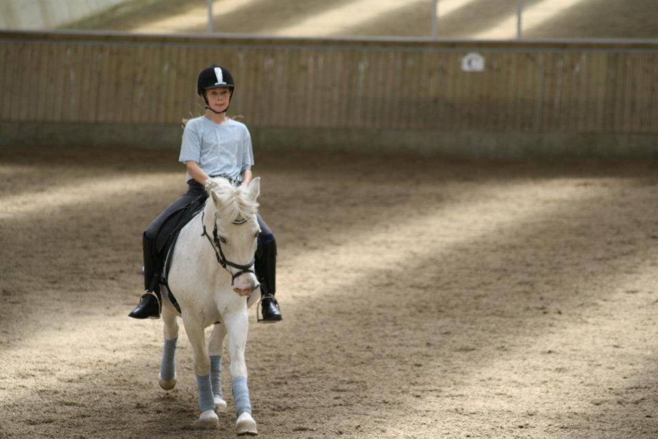 Anden særlig race Hamlet *RIP* - Dream until your dreams come true billede 6