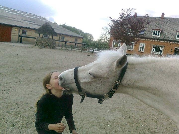 Anden særlig race Hamlet *RIP* - If you can dream it you can do it<3 billede 7