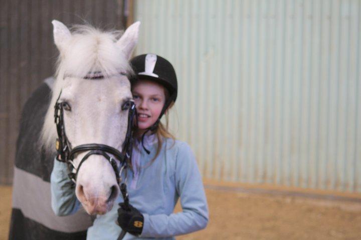 Anden særlig race Hamlet *RIP* -  Sportsaraber (A) Lundgaards Tiger Lili - Sportsaraber (A) Lundgaards Tiger Lilil <3 Love is like a war, easy to start, difficult to stop, and never to forget  billede 8