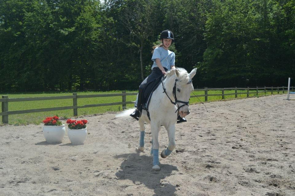 Anden særlig race Hamlet *RIP* - Life isn't easy, but with you by my side is everything much easier. billede 9