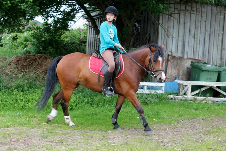 Anden særlig race Miranda *Muffin* - du skal se min ven, du er og vil altid være lige midt i mit hjerte og der vil du være for evigt! <3 billede 15