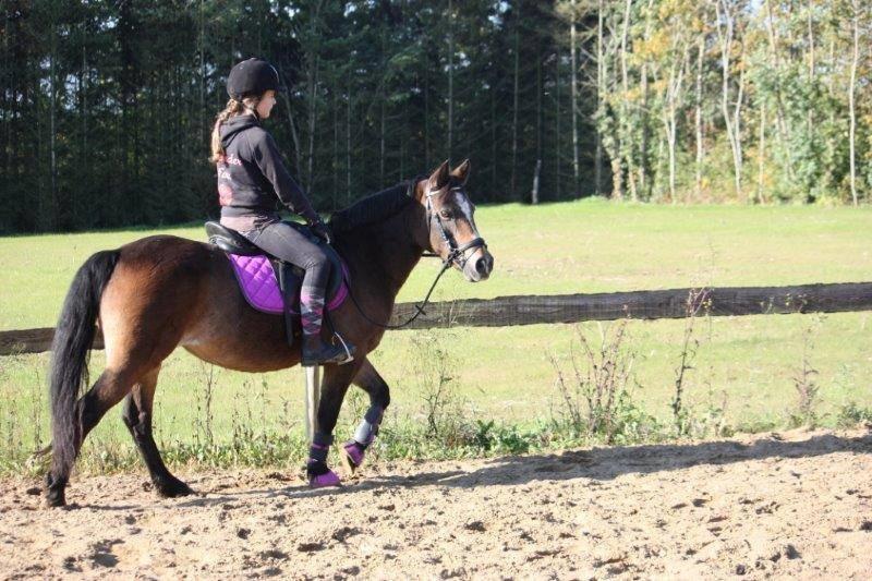 Anden særlig race Bonnie <3 - Da jeg var oppe og prøve hende. billede 7