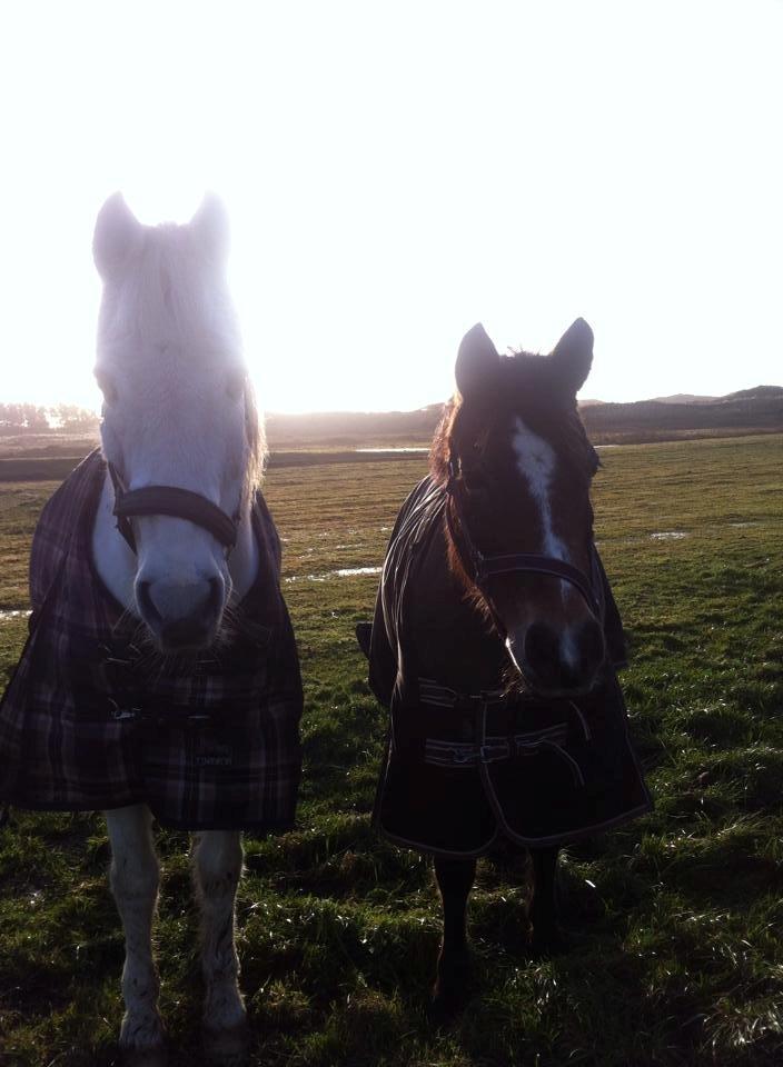 Anden særlig race Bonnie <3 - Silvu og Bubbi.  billede 4