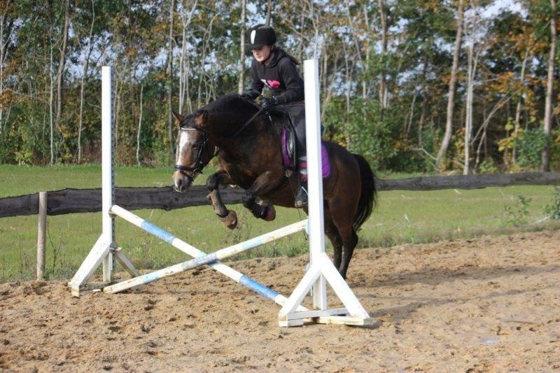 Anden særlig race Bonnie <3 - Da jeg var oppe og prøve hende.
- Total prof.. Not. billede 9