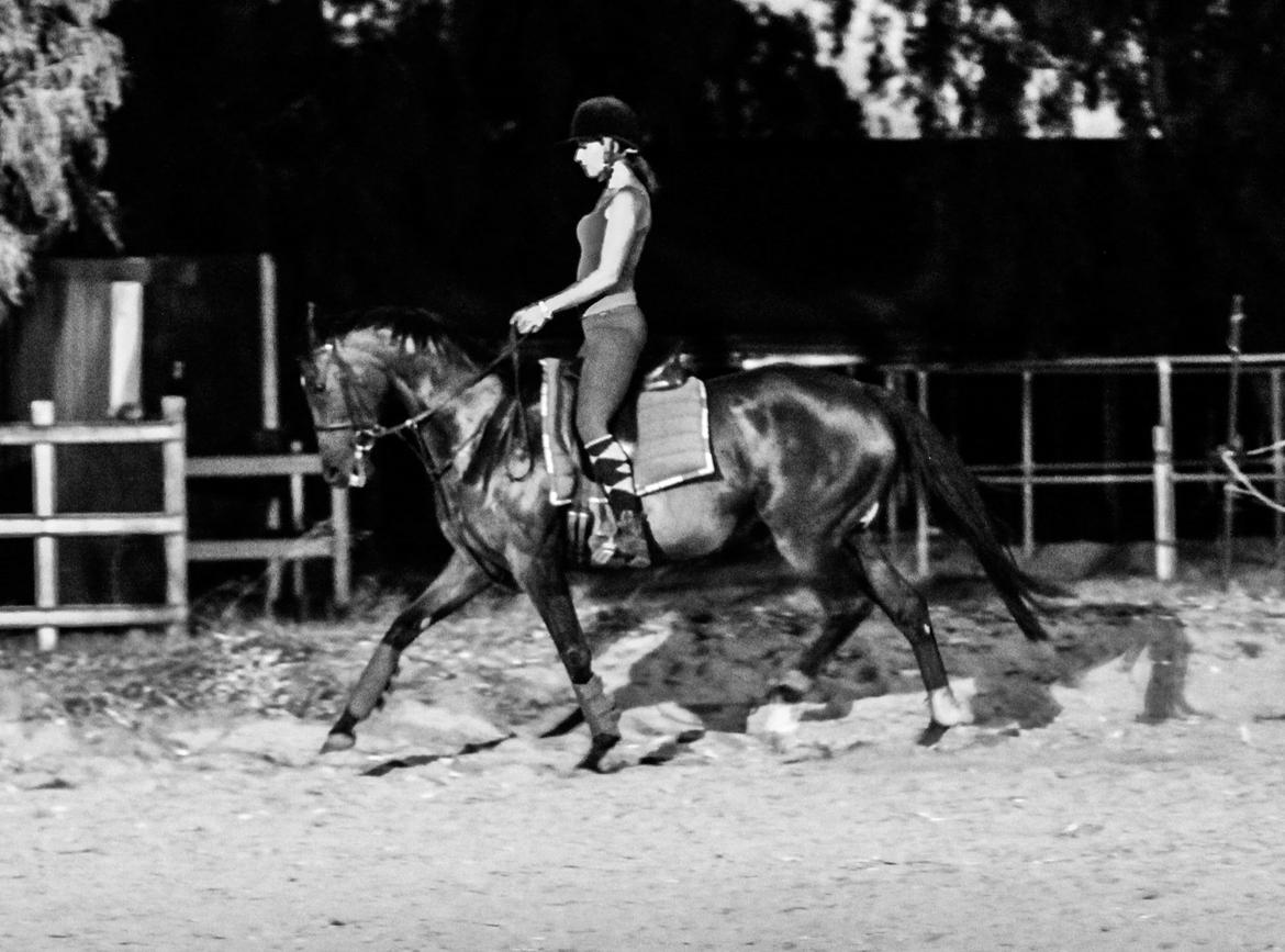 Fuldblod (XX) Baseline - Hendes fabelagtige store trav, i forhold til hendes kun 160 cm! billede 11