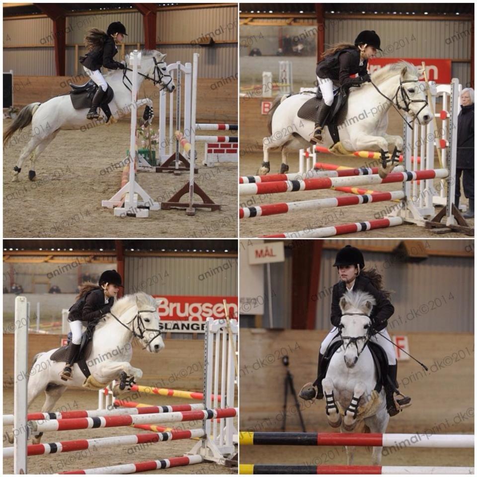 DSP Ryttergaardens Lille My<3 - My og mig fra LB2** <3 billede 13