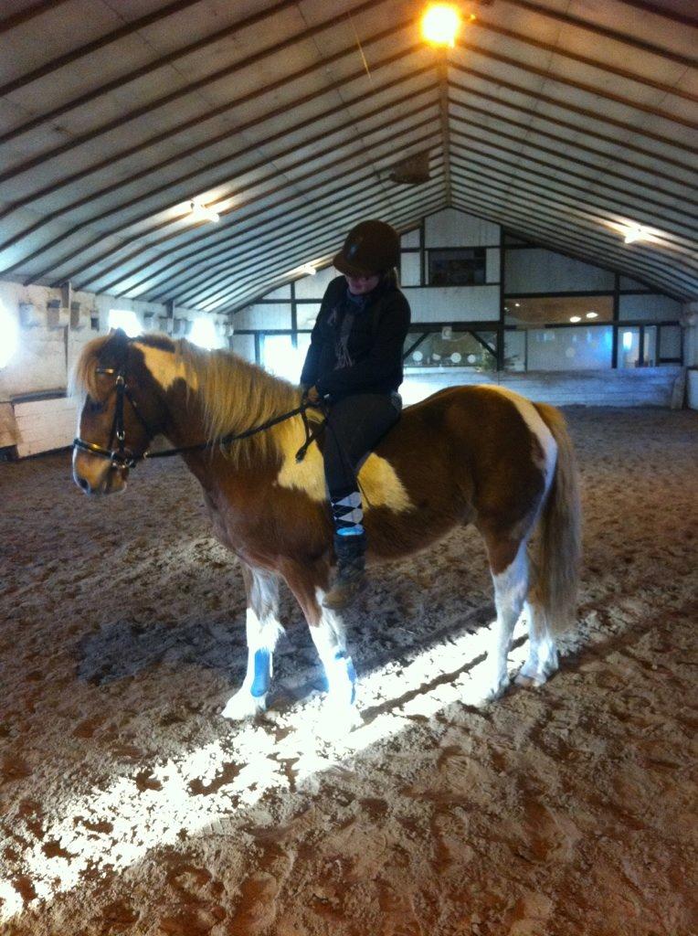 Anden særlig race Hidalgo *Drengerøven* - 'Nyd hvert øjeblik, før det forsvinder - før det bliver til intet andet, end blot minder' billede 3